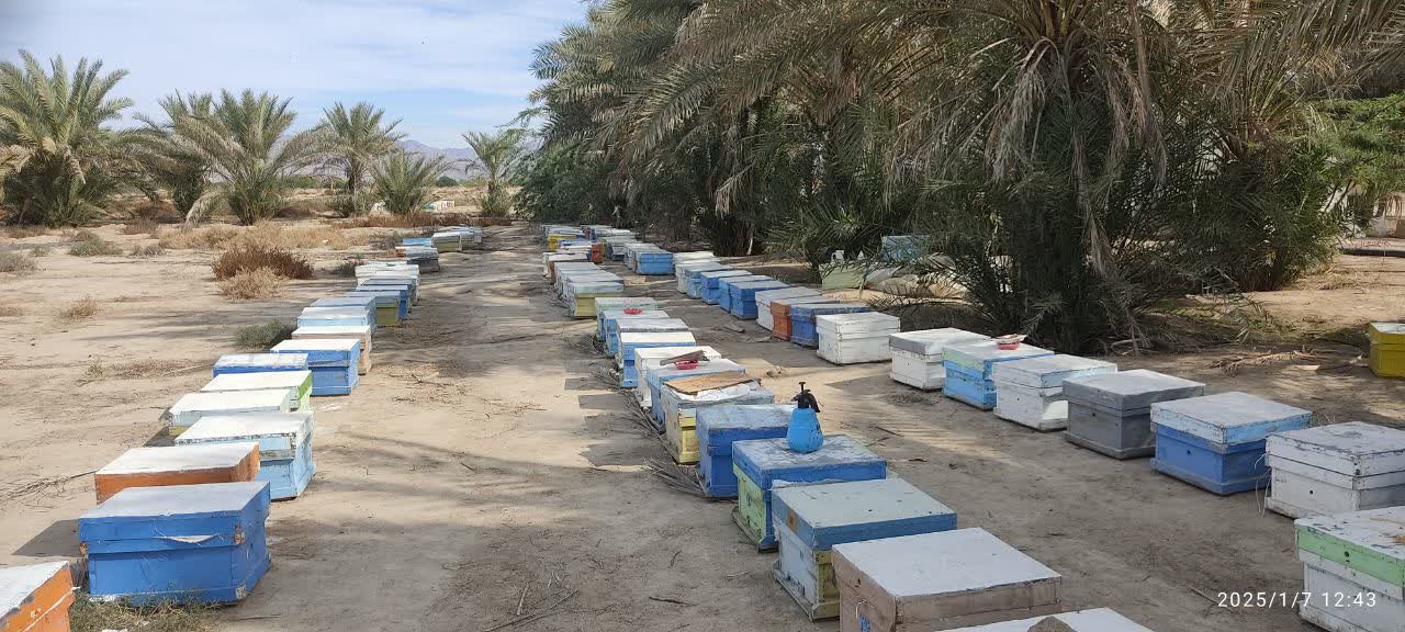 سفر به جنوب