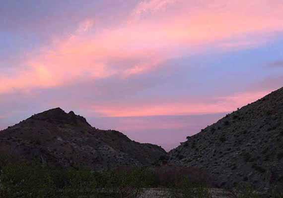 بازگشت به نوفرست